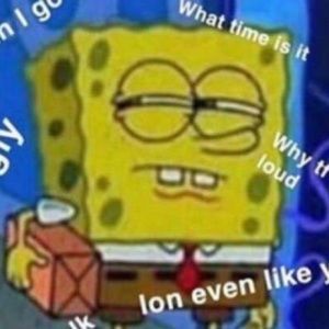 Meet your Posher, Bella